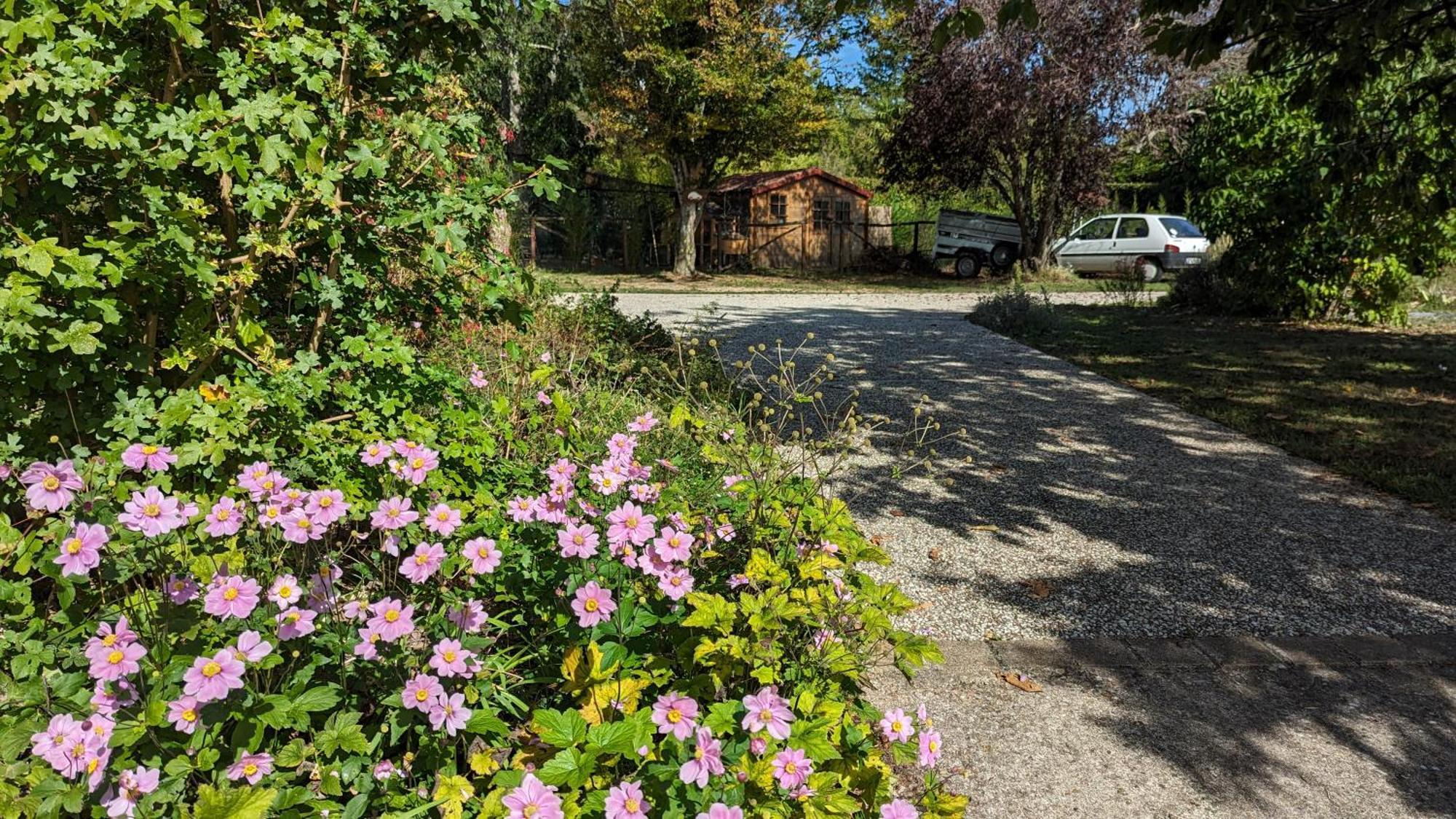 Bed and Breakfast Au Bonheur De Cisse Chouzy-sur-Cisse Zewnętrze zdjęcie